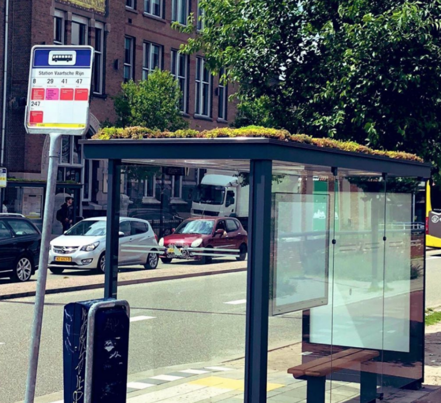 4-holanda-presenteia-abelhas-com-flores-em-pontos-de-onibus 4-holanda-presenteia-abelhas-com-flores-em-pontos-de-onibus