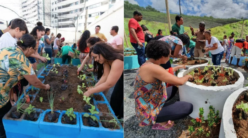 1-horta-comunitaria-salvador 1-horta-comunitaria-salvador
