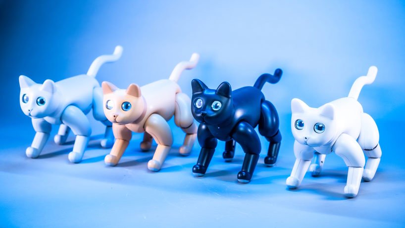 gato-robo-01 gato-robo-01