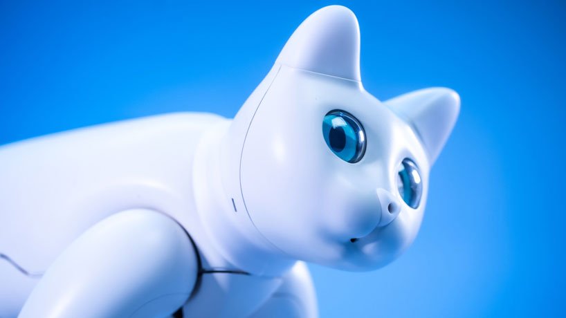 gato-robo-04 gato-robo-04