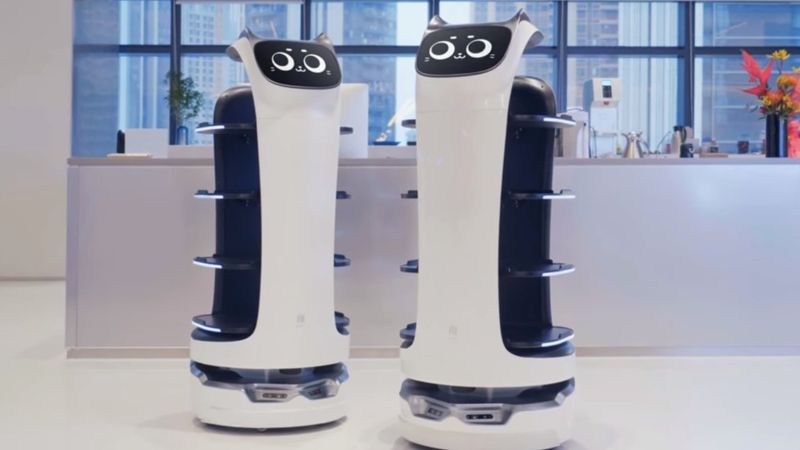 gato-robo-bellabot gato-robo-bellabot