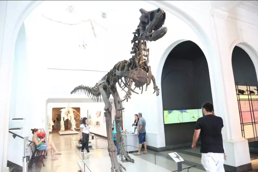 museu-de-zoologia-sp5 museu-de-zoologia-sp5
