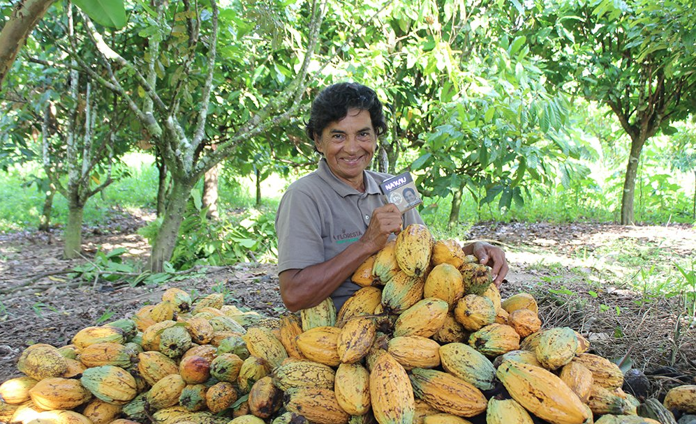 Na-Floresta-Alimentos-Amazonicos Na-Floresta-Alimentos-Amazonicos