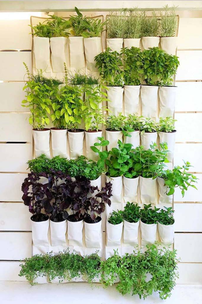 5-5-dicas-para-cultivar-uma-horta-vertical-em-espaços-pequenos 5-5-dicas-para-cultivar-uma-horta-vertical-em-espaços-pequenos