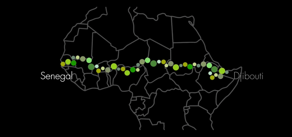 5-áfrica-ergue-maior-estrutura-viva-da-terra-uma-muralha-de-árvores 5-áfrica-ergue-maior-estrutura-viva-da-terra-uma-muralha-de-árvores