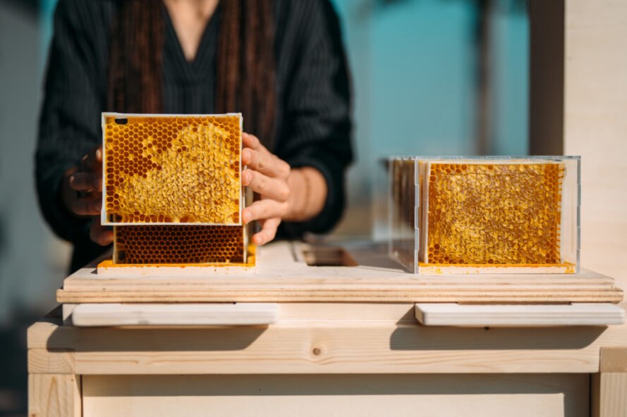 mini-honeycomb-frame-1-889×592 mini-honeycomb-frame-1-889×592