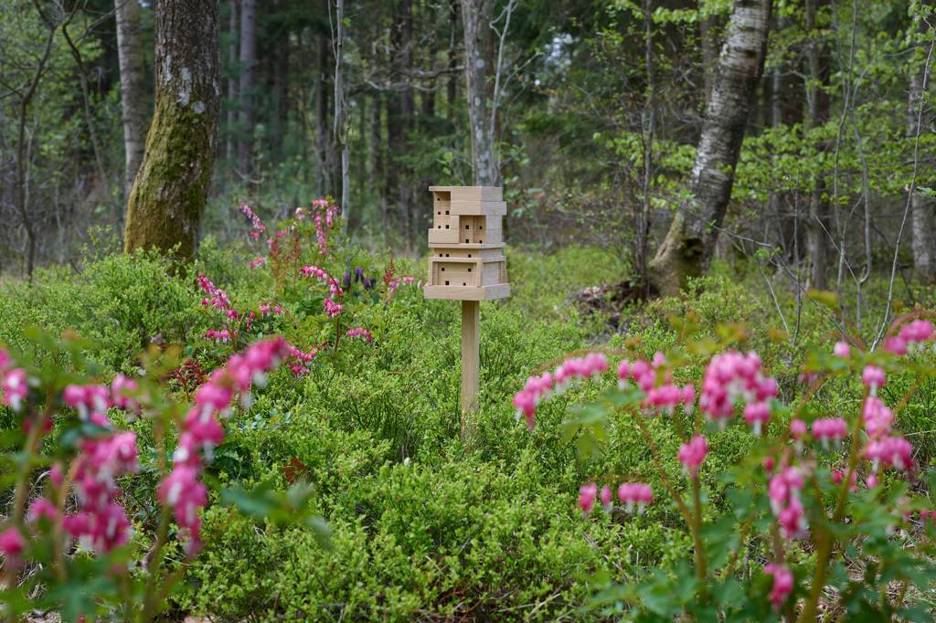 space-10-bee-home-design_dezeen_2364_col_10 space-10-bee-home-design_dezeen_2364_col_10