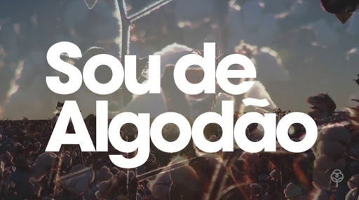 sou-de-algod&atilde;o-1