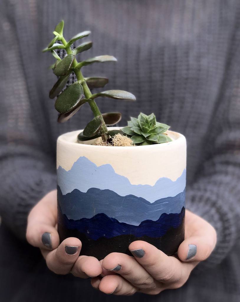 dicas-para-manter-plantas-saudaveis-vaso dicas-para-manter-plantas-saudaveis-vaso
