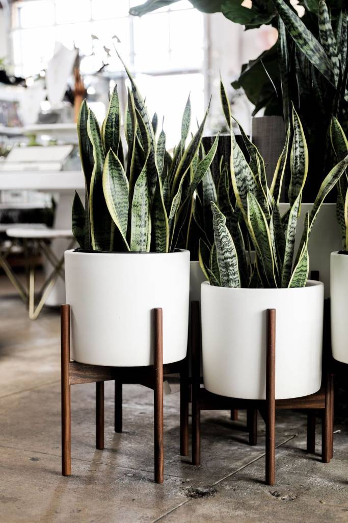 flores-home-office-3 flores-home-office-3