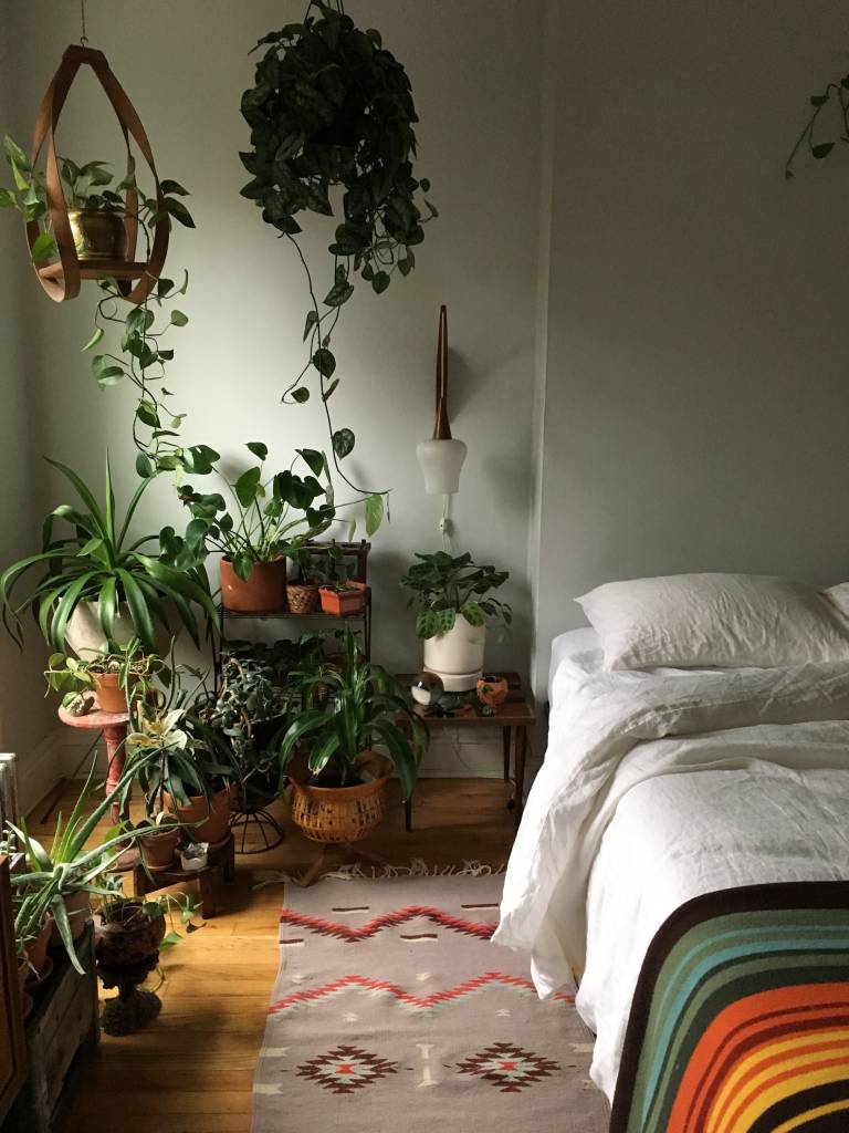 plantas-no-quarto-dicas1 plantas-no-quarto-dicas1