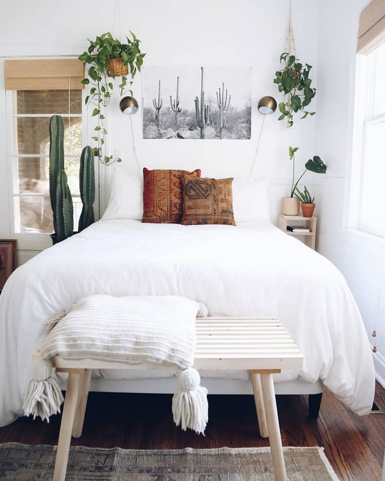 plantas-no-quarto-dicas2 plantas-no-quarto-dicas2