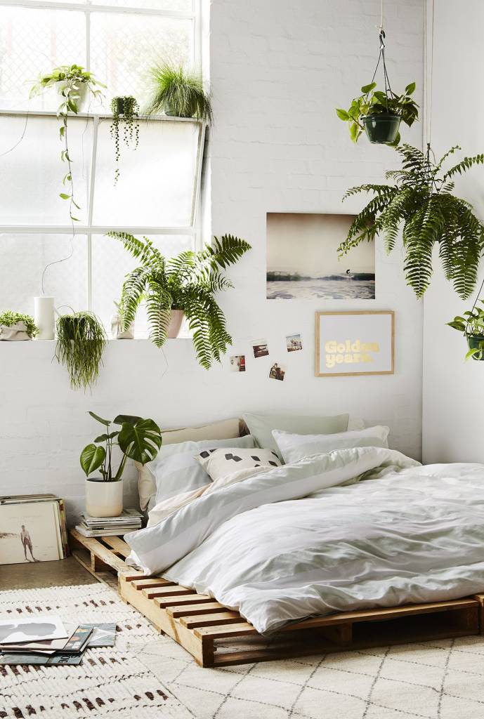 plantas-no-quarto-dicas4 plantas-no-quarto-dicas4