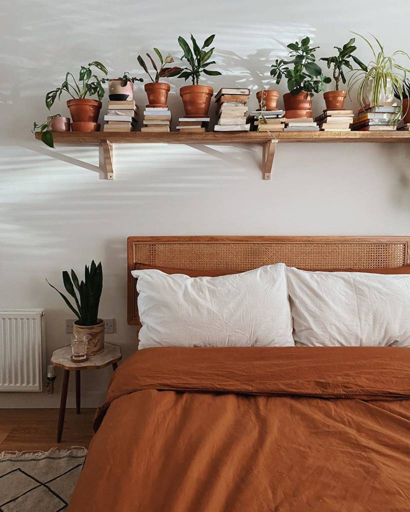 plantas-no-quarto-dicas7 plantas-no-quarto-dicas7