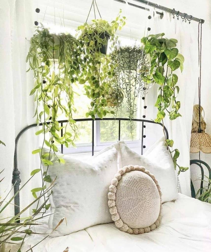 plantas-no-quarto-dicas8 plantas-no-quarto-dicas8