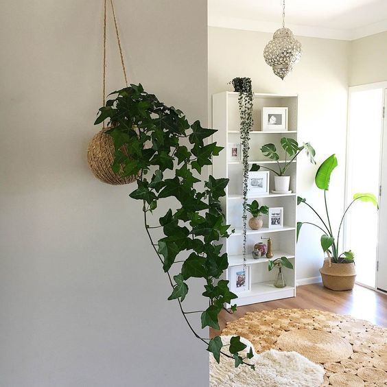 diy-aprenda-a-fazer-uma-kokedama-casa.com-3 diy-aprenda-a-fazer-uma-kokedama-casa.com-3