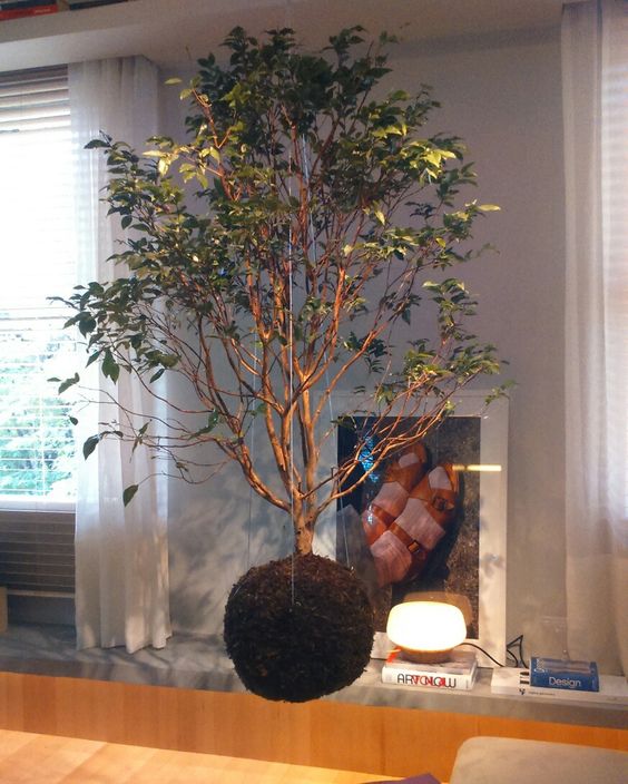 diy-aprenda-a-fazer-uma-kokedama-casa.com-4 diy-aprenda-a-fazer-uma-kokedama-casa.com-4