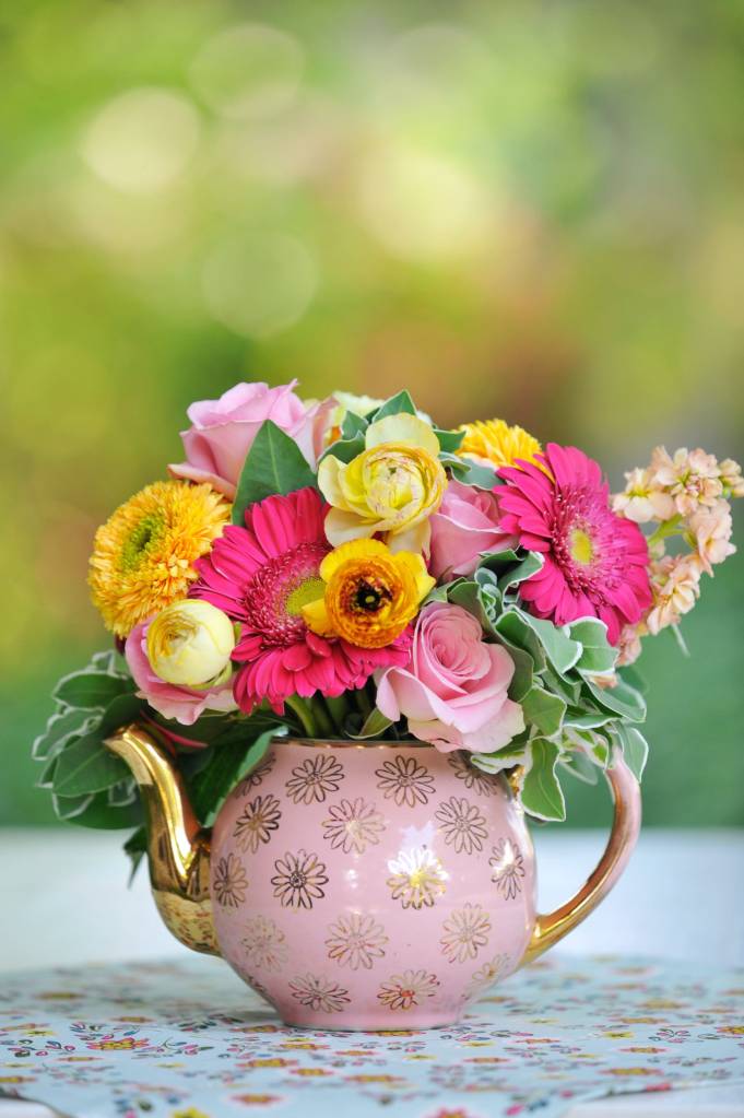 primavera-gerberas primavera-gerberas