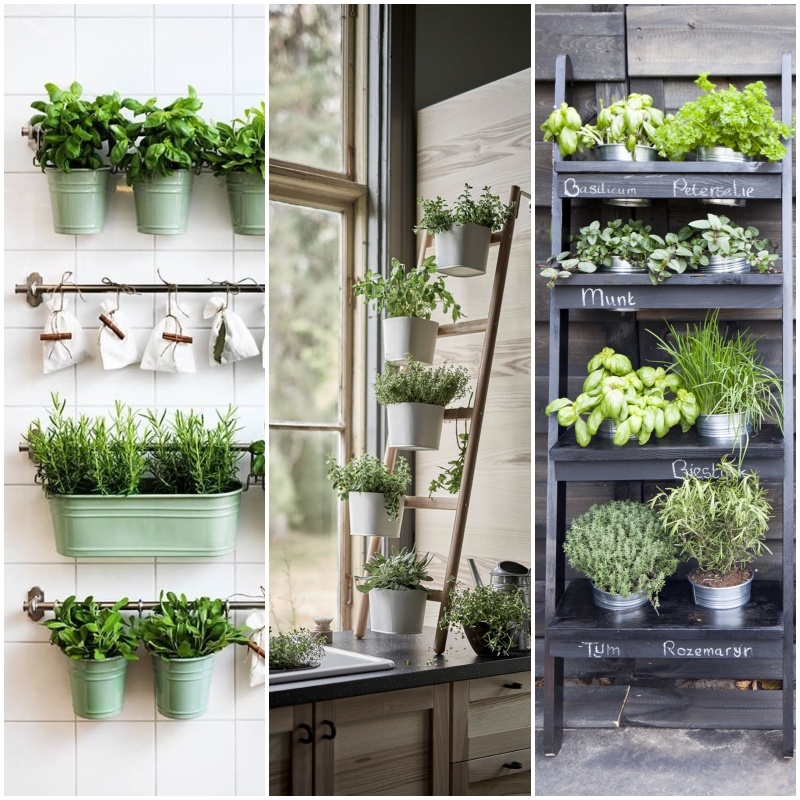 Horta em casa: 10 ideias para cultivar temperos