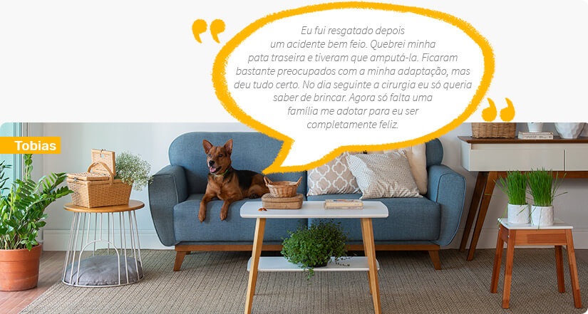 móveis-para-pets Linha ONG Pets, da Mobly