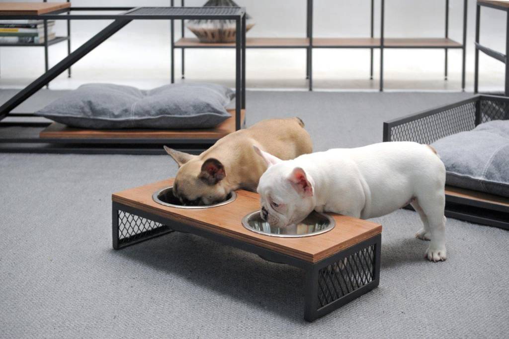 Pets na decoração: designers lançam móveis para os bichinhos