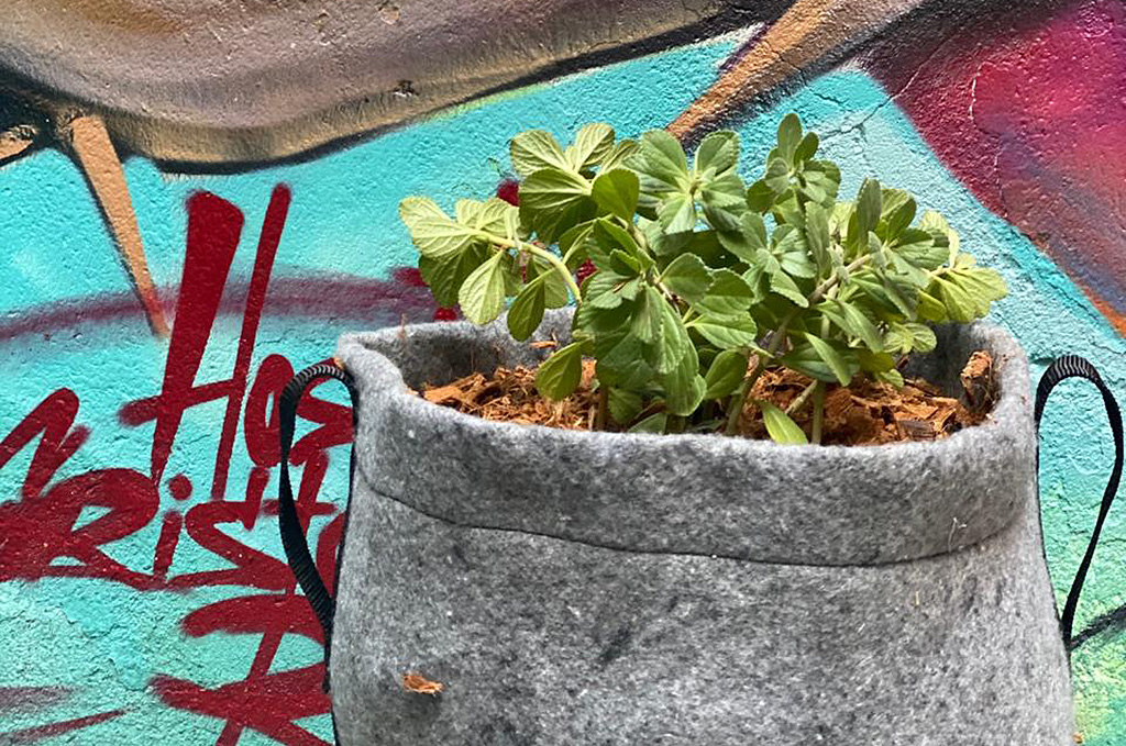 plantbag-ciclovivo plantbag-ciclovivo