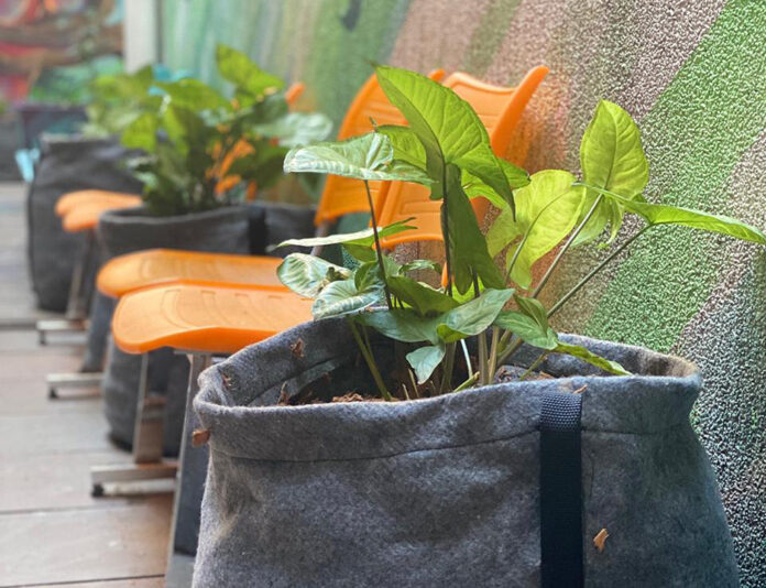 PlantBag é opção para plantar em pequenos espaços