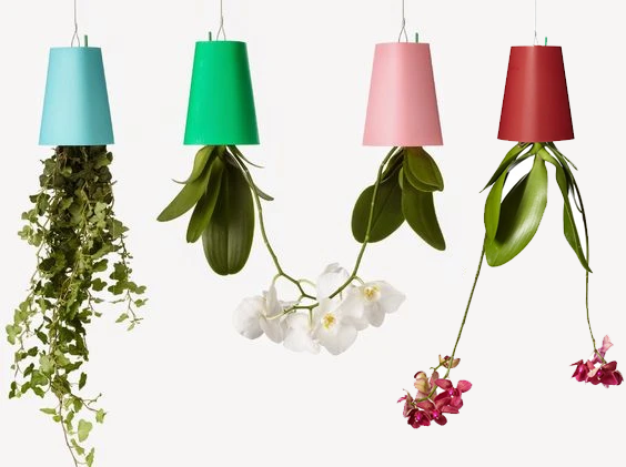 Os vasos sky planter, da <a href="https://www.casaquetem.com.br/search?q=sky+planter&type=product">Casaquetem</a>, s&atilde;o feitos com material reciclado e s&atilde;o indicados para espa&ccedil;os pequenos.