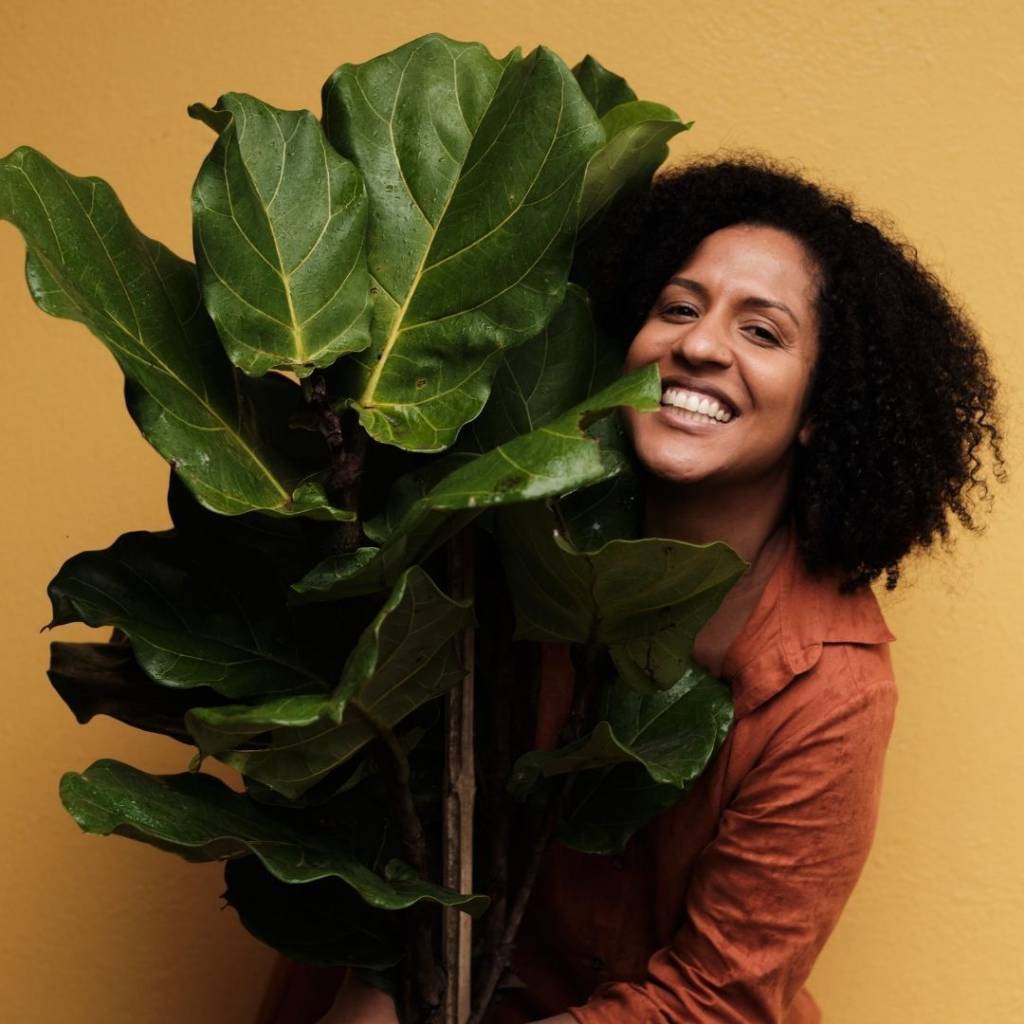 ficus-lyrata-atelier-colorato ficus-lyrata-atelier-colorato