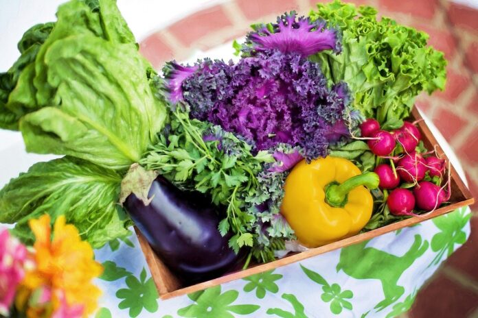 aplicativo-alimento-sem-agrotóxico aplicativo-alimento-sem-agrotoxico