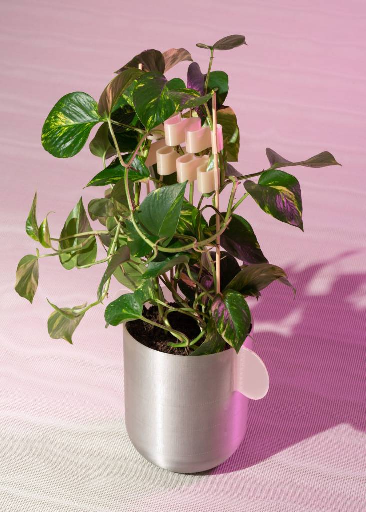 vaso-design-sustentavel vaso-design-sustentavel