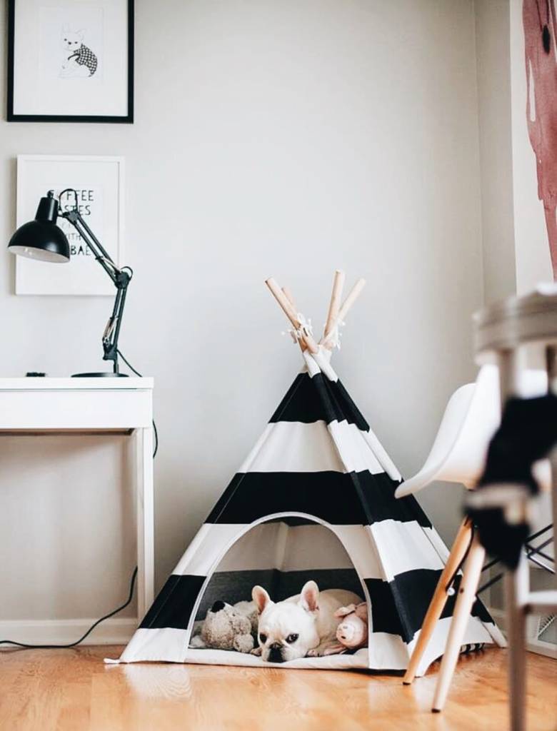 cabana-para-pet-pinterest cabana-para-pet-pinterest