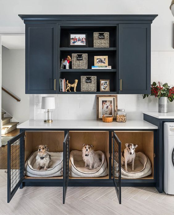 casinha-planejada-para-cachorro casinha-planejada-para-cachorro