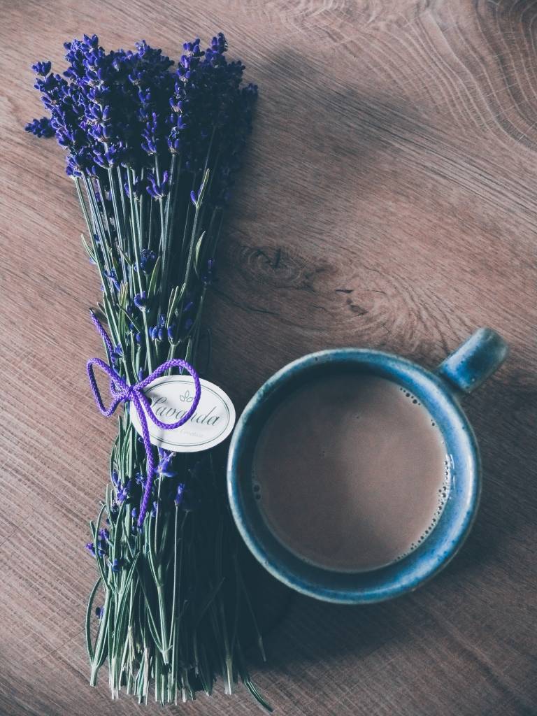 lavanda lavanda