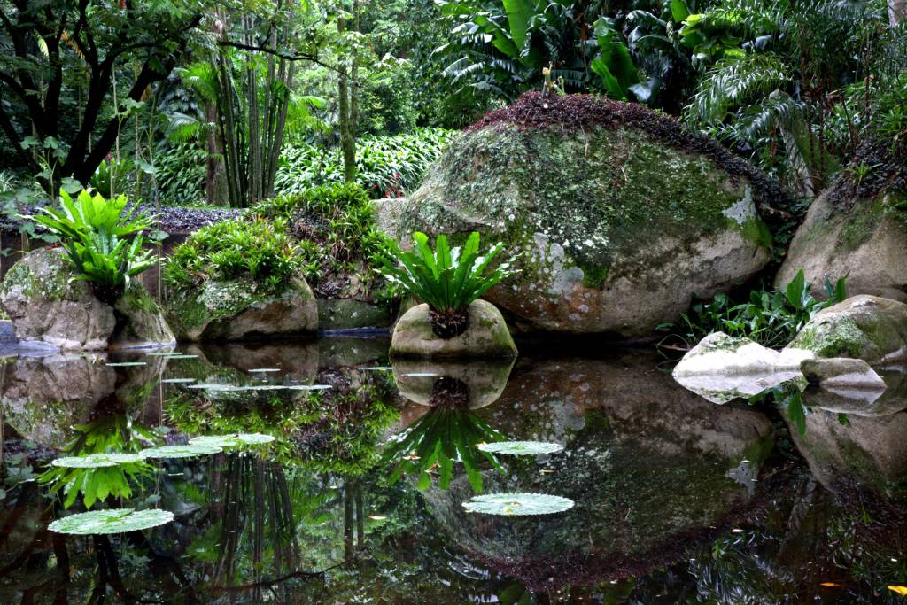 requalificacao-de-sitio-roberto-burle-marx-para-patrimonio-mundial-casa.com-7 requalificacao-de-sitio-roberto-burle-marx-para-patrimonio-mundial-casa.com-7