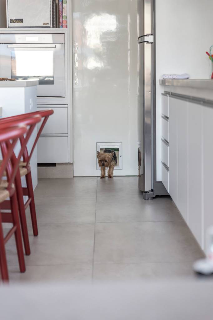 8-dicas-essenciais-para-adaptar-a-decoracao-da-casa-com-bicho-de-estimacao-casa.com 8-dicas-essenciais-para-adaptar-a-decoracao-da-casa-com-bicho-de-estimacao-casa.com