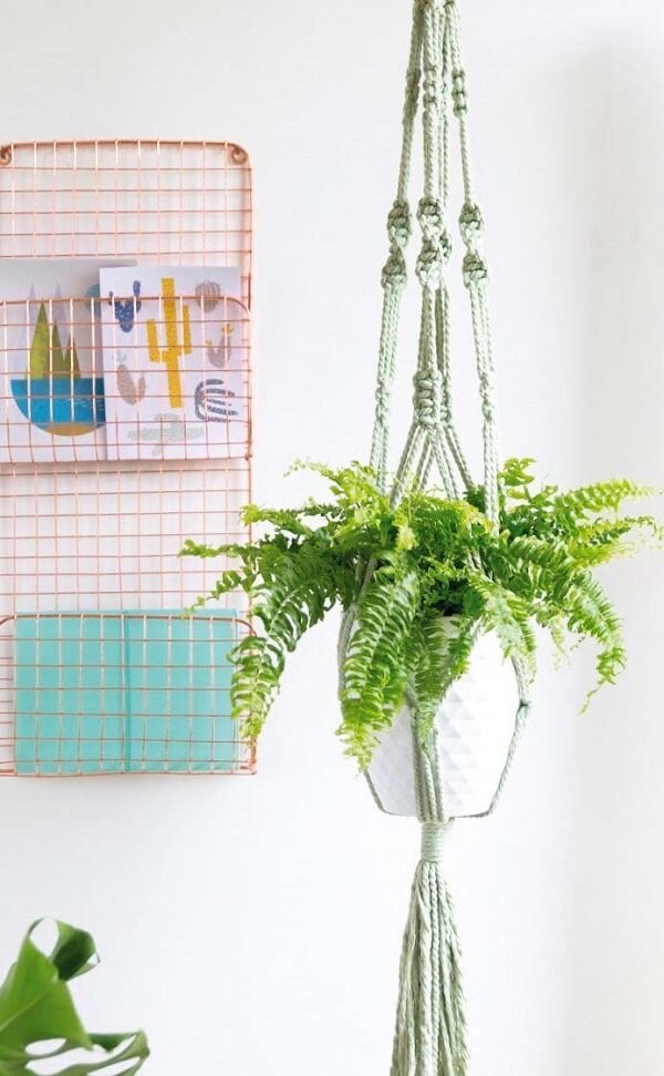Poder holístico; plantas;; Vaso de samambaia suspenso por macramê. Organizador metálico de parede com desenhos e pasta ao fundo