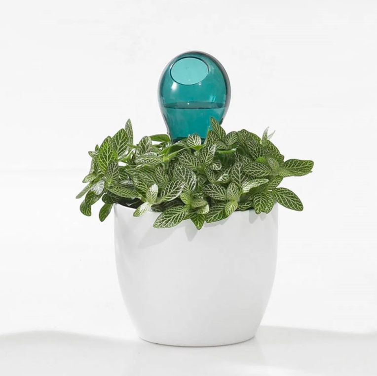 produtos-jardinagem3 produtos-jardinagem3