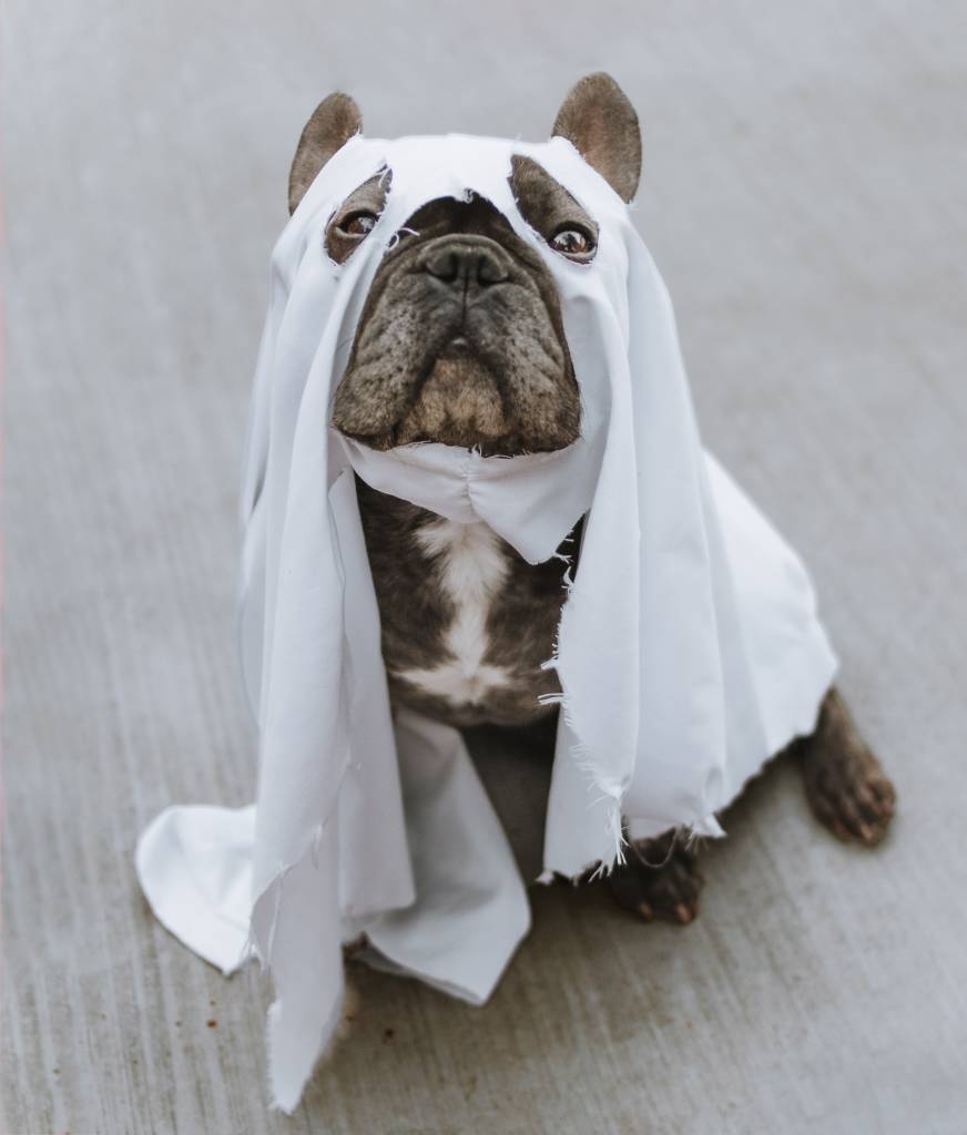sarah-shull-Uy70zMCw-4c-unsplash sarah-shull-Uy70zMCw-4c-unsplash