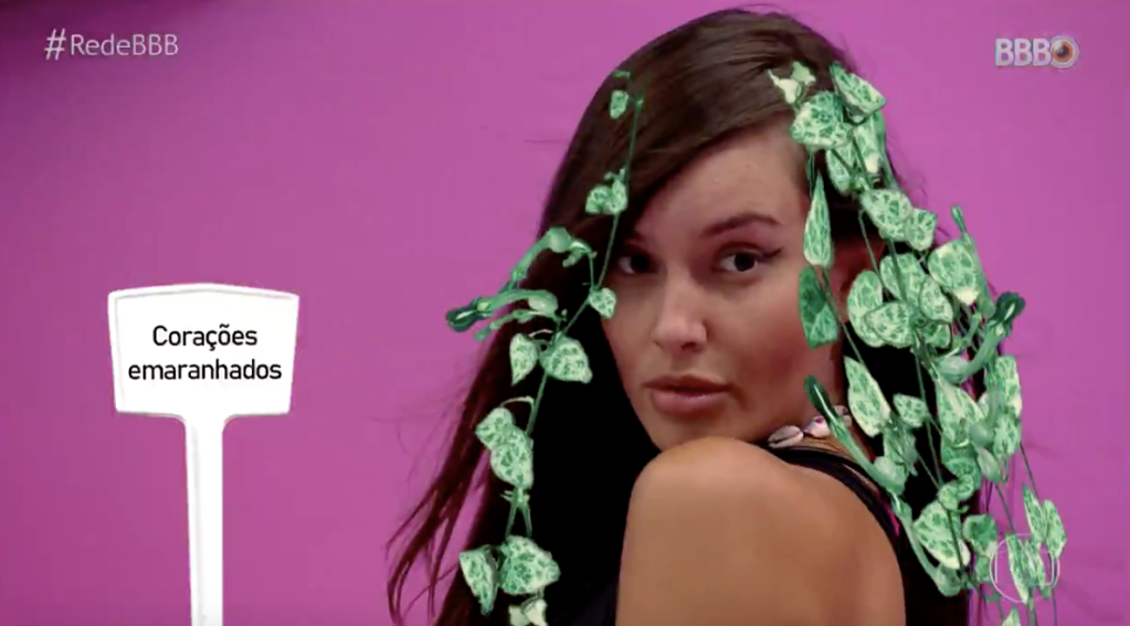 2-bbb-como-cuidar-de-cada-planta-do-programa 2-bbb-como-cuidar-de-cada-planta-do-programa