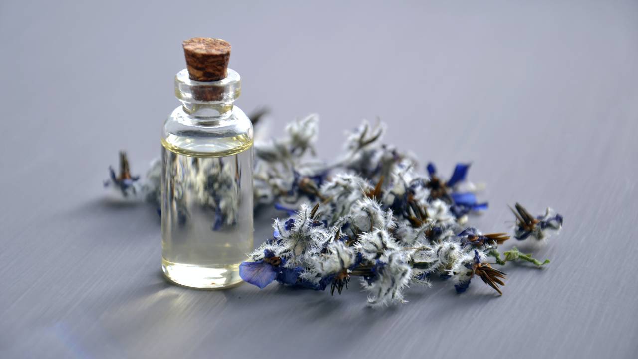 Renove a energia dos cômodos da casa com fragrâncias