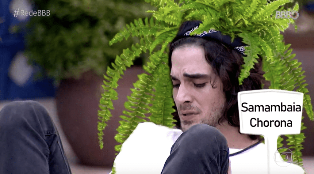 3-bbb-como-cuidar-de-cada-planta-do-programa 3-bbb-como-cuidar-de-cada-planta-do-programa