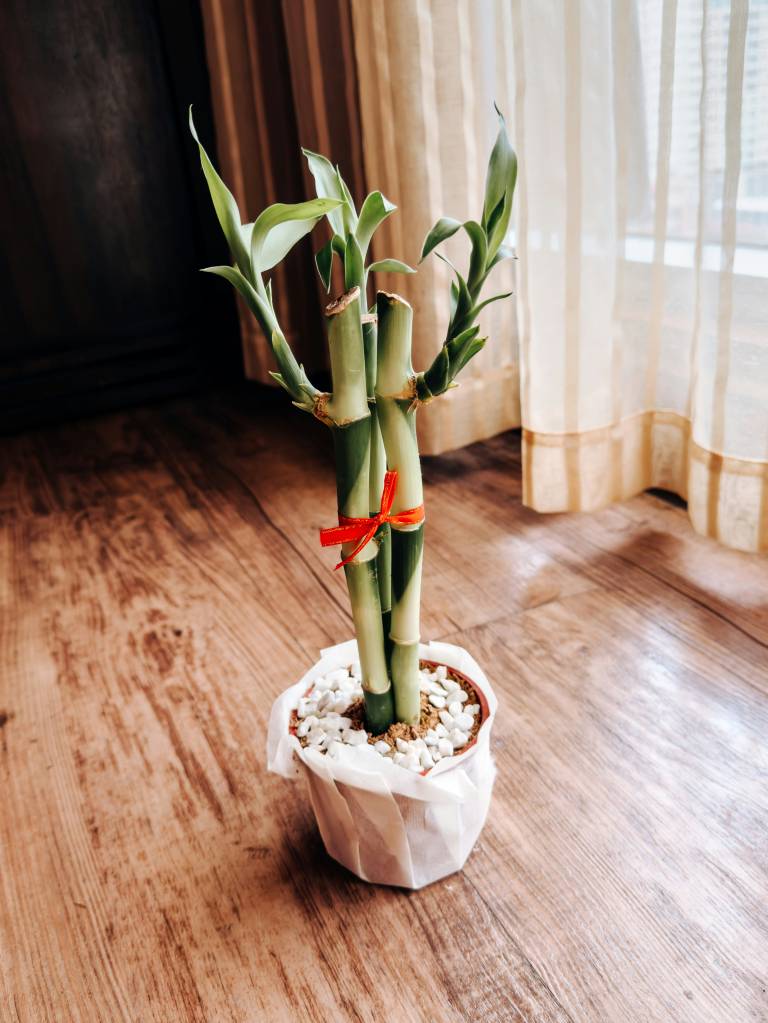 6 Objetos decorativos que afastam negatividade da casa