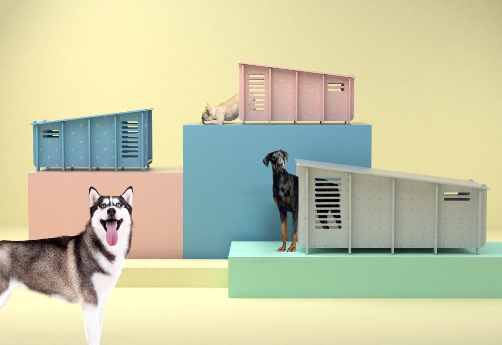 casa de cachorro para cães de porte grande e para espaços externos