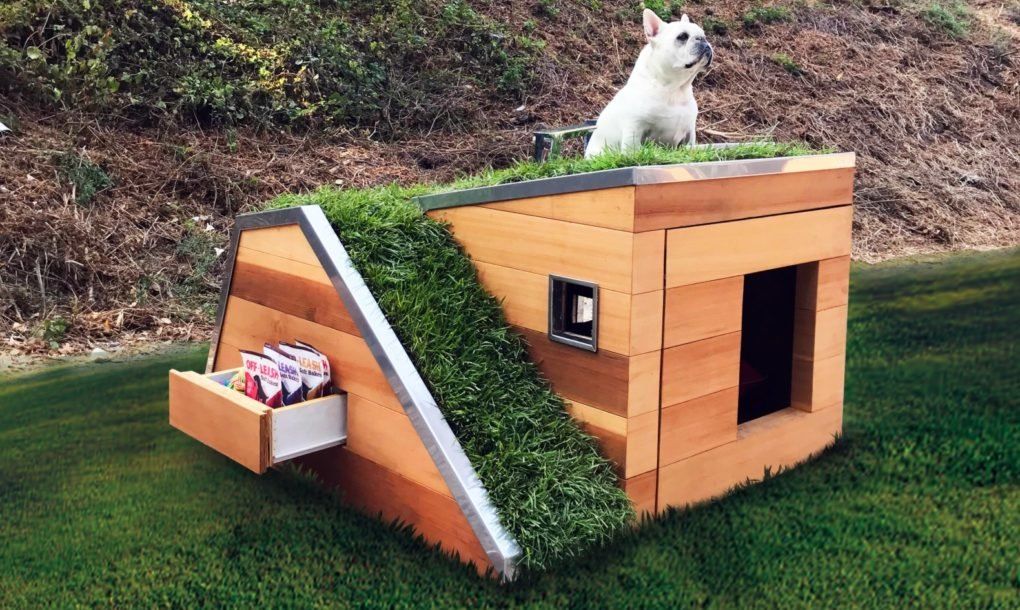 casinhas-de-cachorro-que-sao-mais-legais-que-as-nossas-casas-casa.com-2 Casinha para cachorro, feita com material sustentável, com telhado verde