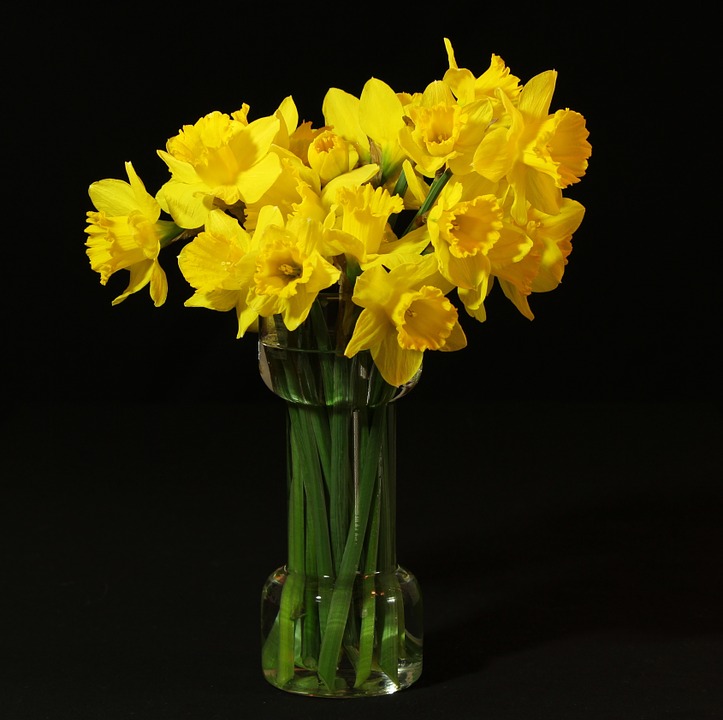 tipos-de-flores-para-decorar-seu-ambiente-casa.com-8-narciso tipos-de-flores-para-decorar-seu-ambiente-casa.com-8-narciso