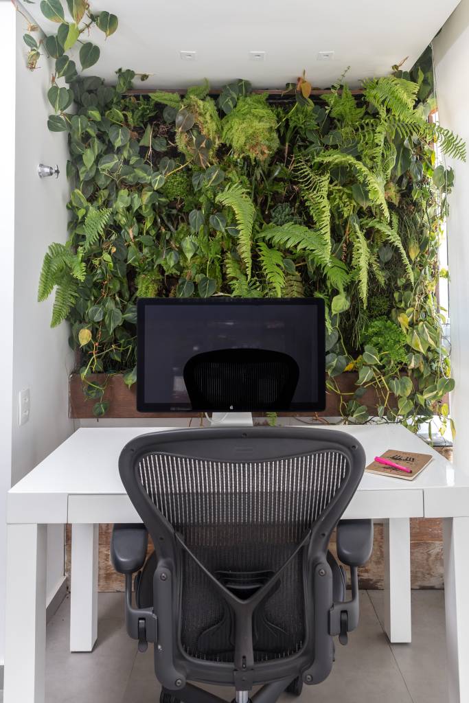 1-confira-que-cuidados-ter-para-cultivar-um-jardim-vertical-em-casa 1-confira-que-cuidados-ter-para-cultivar-um-jardim-vertical-em-casa
