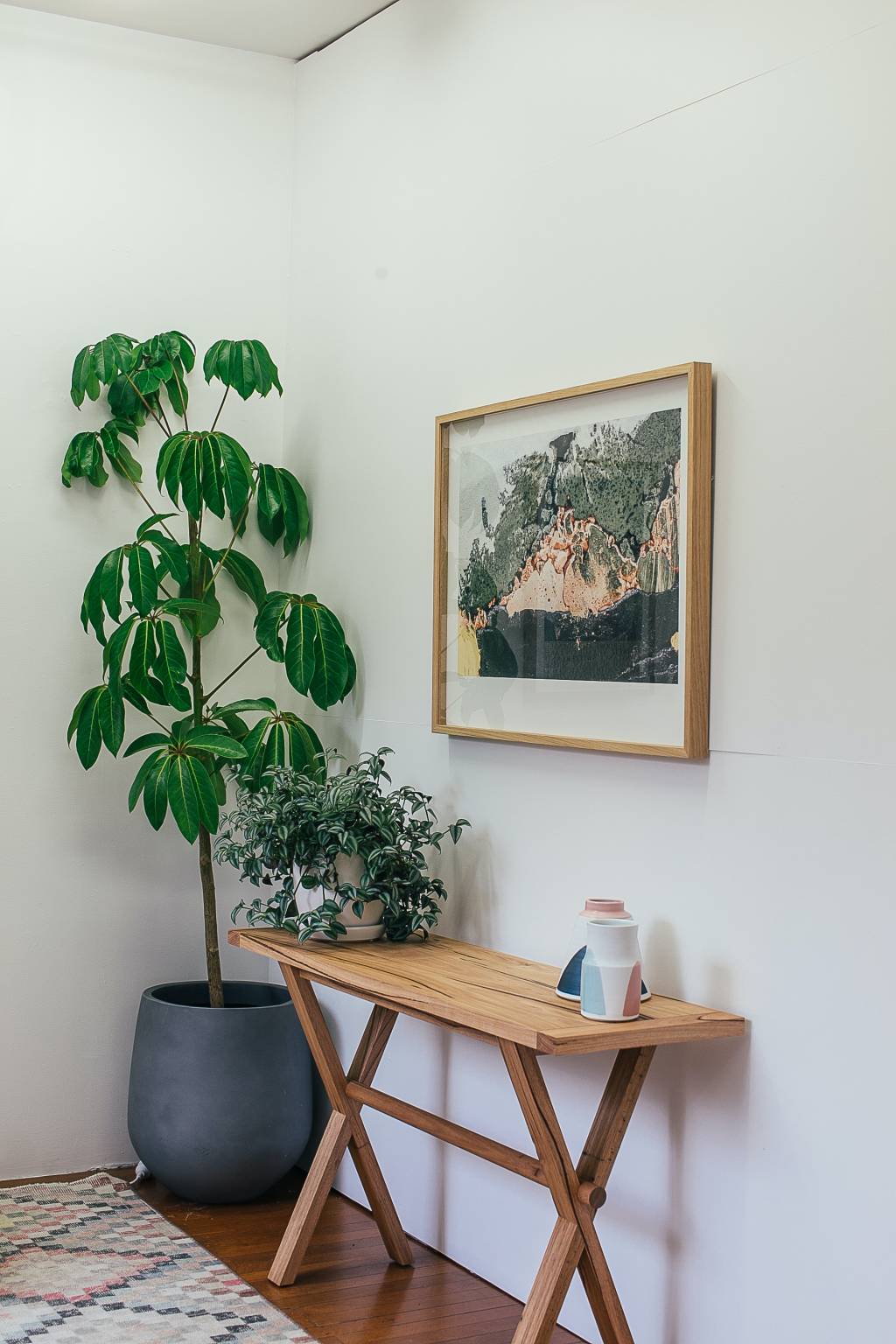 9-arvores-e-plantas-tropicais-que-voce-pode-ter-dentro-de-casa 9-arvores-e-plantas-tropicais-que-voce-pode-ter-dentro-de-casa