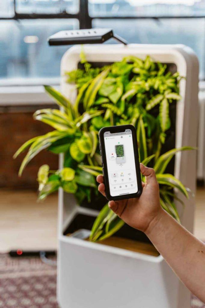 phyto-app phyto-app