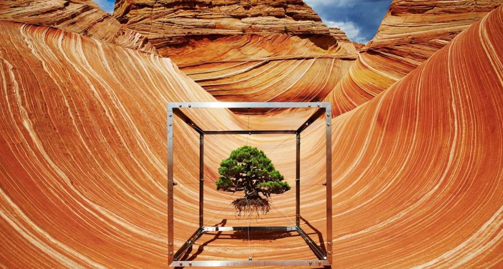 plantas-arte-espaço-designboom-01 plantas-arte-espaço-designboom-01